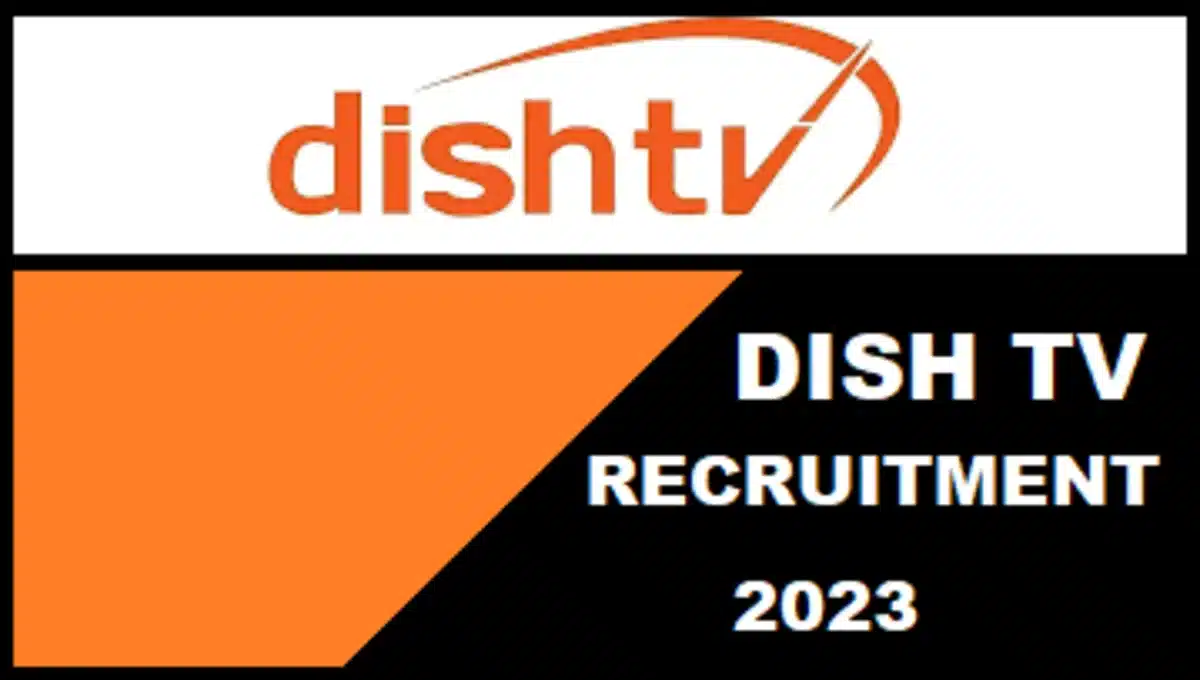 Dishtv work from home job